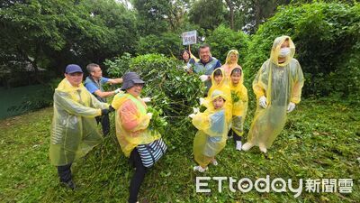 全國小花蔓澤蘭防治日　林保署邀250草屯鄉親齊心闖關拔蔓體驗