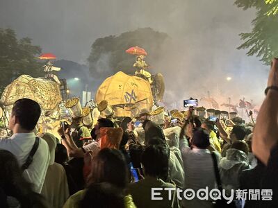 直擊／萬人冒雨看《大象來了》！民眾備梯搶拍　後排視線被傘遮
