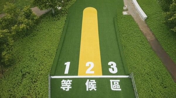 ▲青山河濱公園化身鰻魚冒險樂園