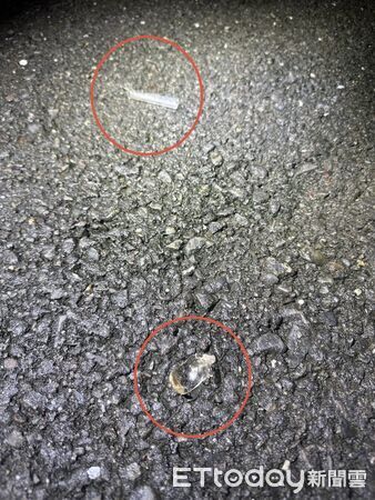 ▲▼毒蟲落跑             。（圖／記者陳宏瑞翻攝）