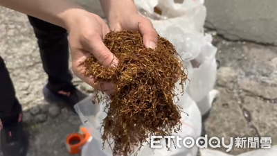 工廠當掩護！男買菸葉下腳料製私菸　13萬包險流入市面
