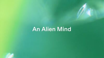 AI可能開始「自己推動AI發展」!OpenAI首席科學家呼籲提高警戒