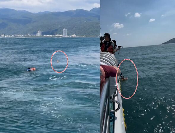 ▲船員反應敏捷，第一時間躍入海裡火速將落海男遊客（紅圈）人救起。（圖／翻攝自《Threads網友@penpenyuan》）