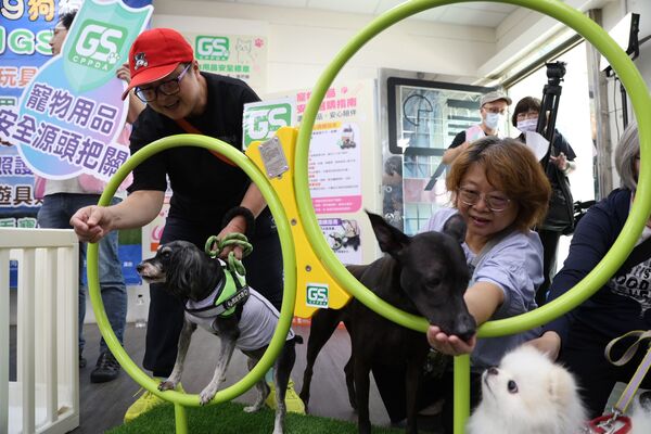 ▲寵物用品安全從源頭把關 新北動保處推廣GS安全標章。（圖／新北市動保處提供）