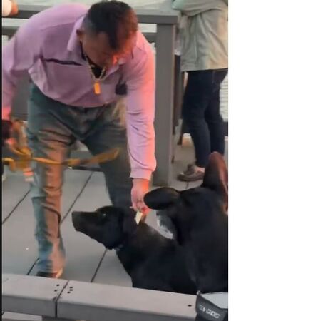 ▲苗栗縣龍鳳漁港發生疑似虐狗案，飼主持牽繩抽打狗狗數下，民眾勸阻不成向縣府舉發。（圖／記者楊永盛翻攝）