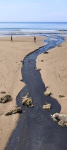 墾丁南灣變「黑海」!公路局清溝惹禍 墾管處急喊停工依法開罰