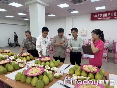 花蓮文旦柚評鑑結果!產官學專業評審 金、銀、銅各3名出爐