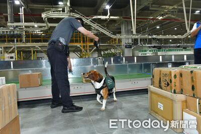女拍片稱帶「大陸豬肉脯」返台 農業部追查貼文者:屬實罰20萬