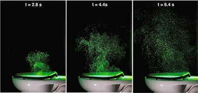 沖水不蓋馬桶蓋? 研究揭「病菌狂噴163公分高」恐吸入