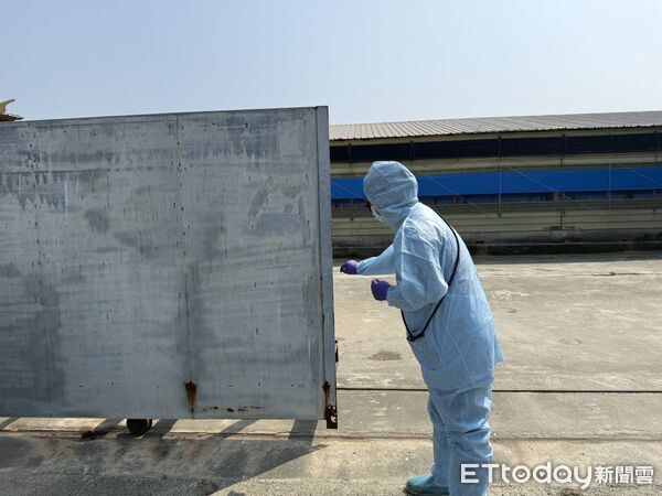 候鳥季禽流感風險升！台南6220件採樣全陰性 籲禽場守4原則