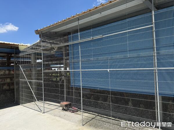 ▲台南市農業局動保處加強養禽場採樣監測及防疫消毒，今年已完成6220件採樣，均未檢出禽流感病毒。（記者林東良翻攝，下同）