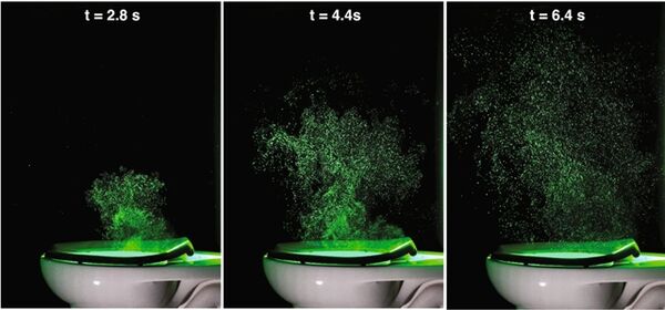 沖水不蓋馬桶蓋？ 研究揭「病菌狂噴163公分高」恐吸入