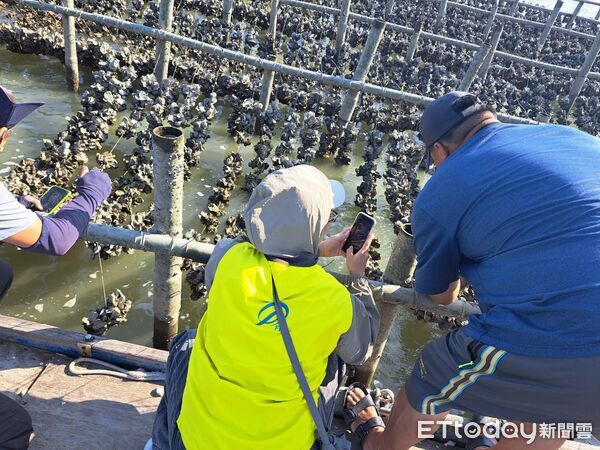 台南牡蠣全品項納現金救助！9／10起申請 災損須達20％