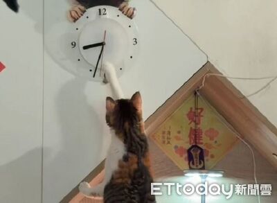 奴才發現「時鐘亂掉」還以為故障 結果是兇手竟然是主子
