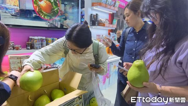 ▲▼ 2026年服貿會、文旦柚、台灣館            。（圖／記者任以芳攝）