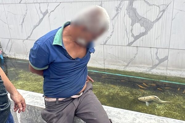 變態男跳進魚池洗澡「性侵鯉魚」！落網認：游來游去勾起慾望