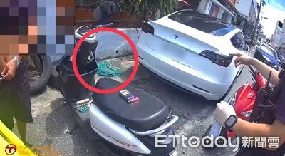 花蓮男偷電線翻牆落跑!屋主駕車攔截 警查獲贓物搜出喪屍煙彈