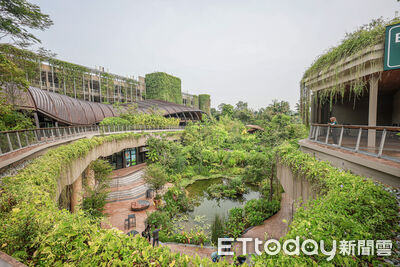 新加坡「亞洲雨林探險園東區」開箱 有野奢露營、搭吊椅穿梭樹冠