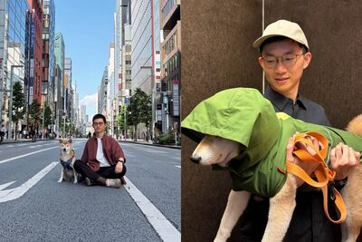 旅居日本滿5月「愛犬遭誣賴亂尿」! 視網膜氣炸寫長信反擊管理室