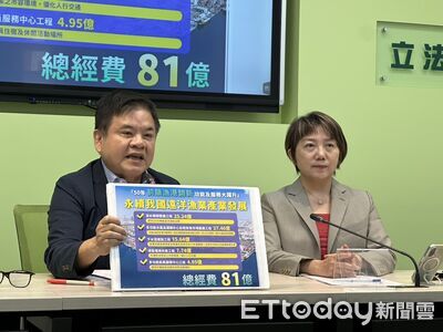 開國是會議解憲政僵局? 綠黨團:能化解衝突但不能取代憲法法庭
