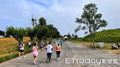 金色花海沸騰!13國2400跑者勇闖六十石山馬拉松 考驗速度耐力