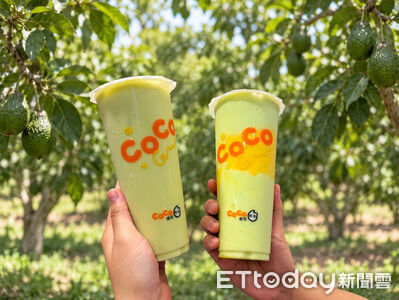 CoCo酪梨系列開賣!加手工布丁、茉莉綠茶 麻古推開心果新品