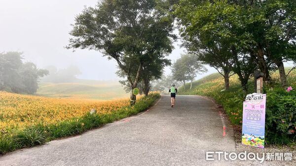 ▲▼2026花蓮富里六十石山金針花超半程馬拉松，13日在富里鄉盛大登場。（圖／富里鄉公所提供，下同）