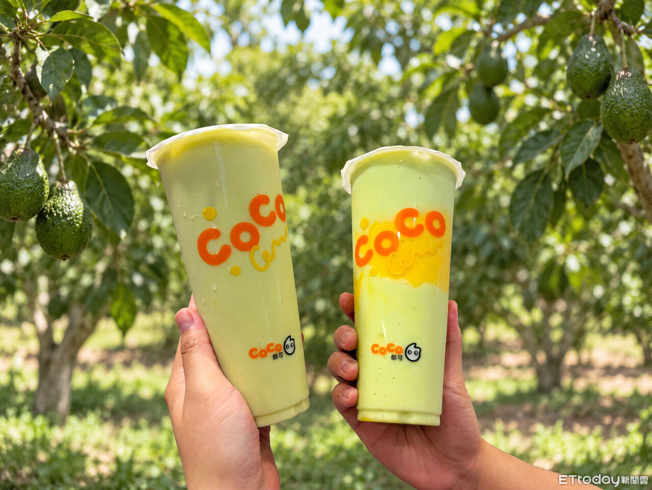 CoCo酪梨系列開賣!加手工布丁、茉莉綠茶 麻古推開心果新品 | ETtoday旅遊雲 | ETtoday新聞雲