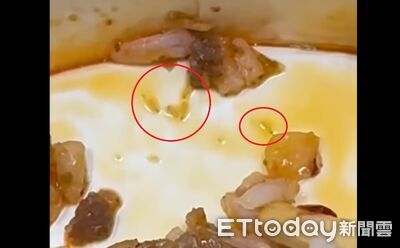 打拋豬驚見超噁「活力蛆」!泰飽爺致歉急採6大措施:不會卸責