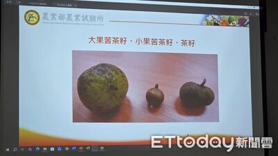 苯駢芘致癌油風暴不止 南投縣邀集產學界辦理教育訓練