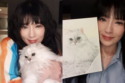 見薔薔痛失愛犬勾悲傷回憶 唐綺陽曝喪貓近況:不得不接受