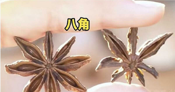 八角常用於滷肉、燉肉等料理，專家提醒下鍋前若發現外型異常的香料，應先停止使用並確認。（圖／翻攝自大陸環球網資訊）