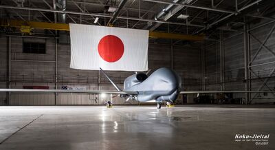 日本無人偵察機「全球鷹」失聯！鳥取外海突斷訊　全面搜索中