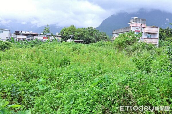 ▲▼花蓮吉安鄉永安村太昌段1304地號閒置公有地，獲中央無償撥用。（圖／吉安鄉公所提供，下同）
