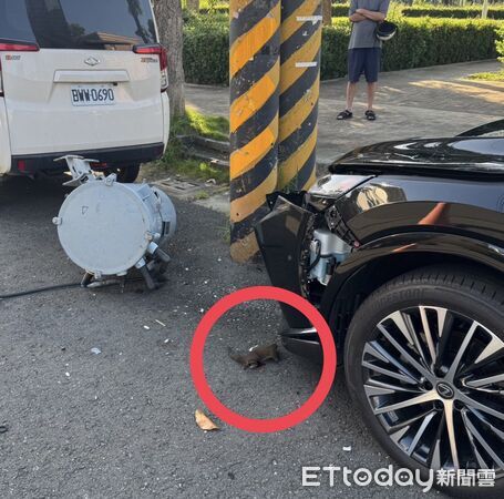 ▲高雄仁武文館路的電桶爆炸，現場發現松鼠屍體            。（圖／民眾提供）