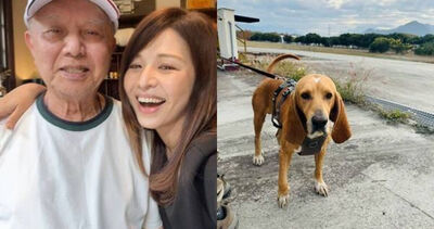 搜救犬「巴薩」殉職! 曾協尋林葉亭父親