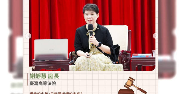 「鐵拳教育」台灣版！單親媽救病兒狂扁惡少 法官也同情