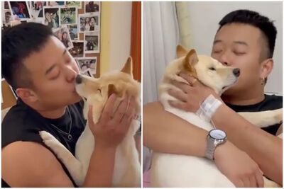 吃野菇出現幻覺!男子「把愛犬看成前女友」狂親7小時