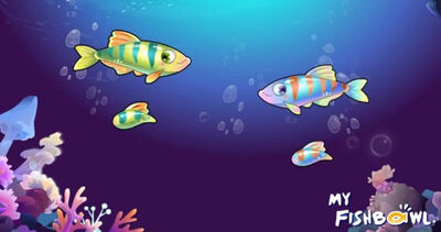 童年回憶《開心水族箱》有重大宣布 台網友驚呆:居然還在