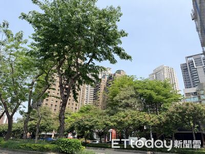房市高點進場踢鐵板　七期豪宅持有13年賠732萬退場