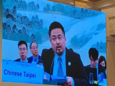 洪申翰APEC大合照與「Chinese Taipei」桌牌曝光 勞動部:過程平順