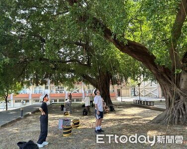 南臺科大攜手業界開辦攀樹教練培訓 強化學生戶外實戰力
