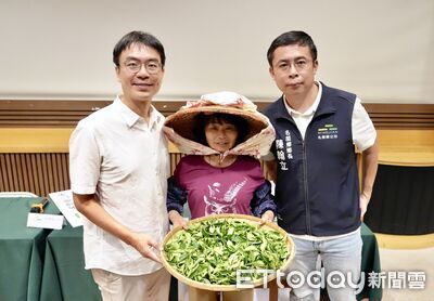 茶菁收購價直直落衝擊名間茶農生計 農糧署同意補助每台斤3元