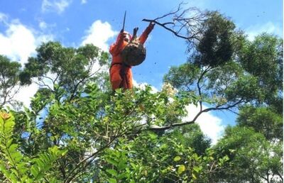 新北全安動保創全國先例 獲天下城市治理卓越獎優選