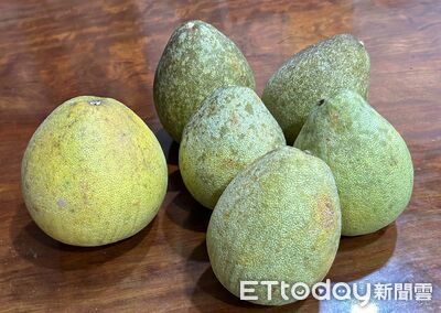 文旦就是柚子嗎?網友一句「台灣沒有文旦」吵翻 農業部揭真正關係