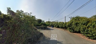 高雄果園流標3次突翻紅　5人搶標35棵果樹農地