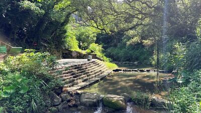 台北藏600公尺「小坑溪親水步道」 沿溪賞蕨類、找文學字句