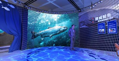 【廣編】挪威海鮮9/25華山開展 從產地解密鮭魚、鯖魚的美味關鍵