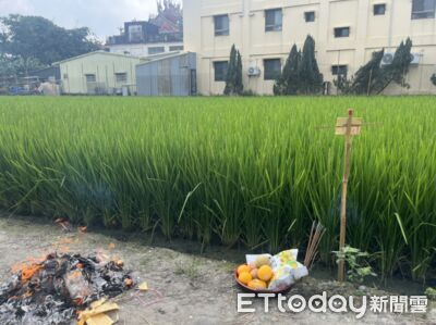 中秋插「拐杖」給土地公!議員參選人推民俗DIY 盼讓老習俗延續