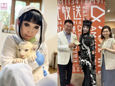 錢多到花不完!美女魔術師「120億家產」藏日本6處 他搬家瘋尋寶